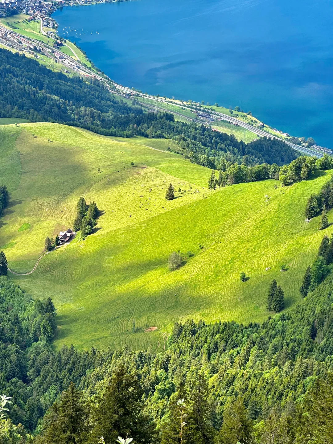 在瑞士🇨🇭拍到的每一张都是人生照片！！！