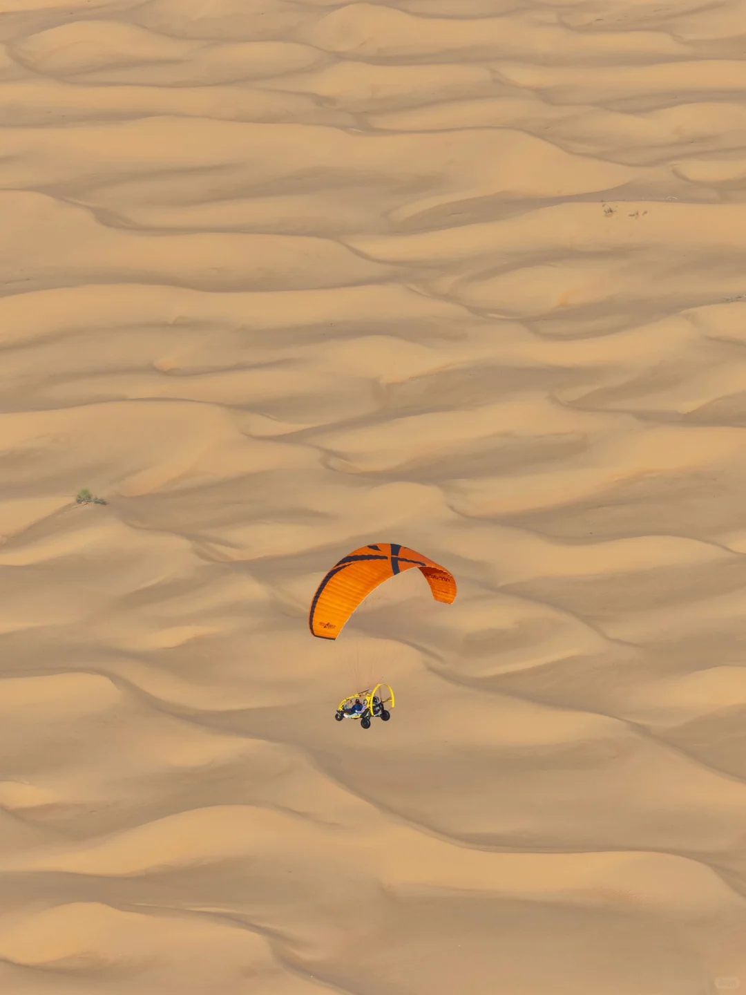 迪拜免签~去了一次,被美哭了!!