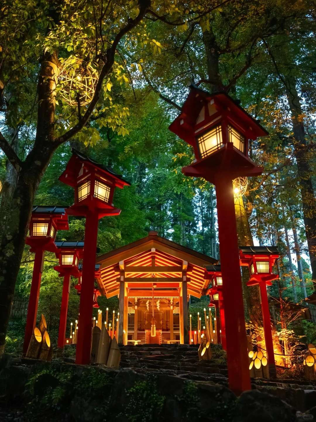 在日本玩了9天，我的消费观真的崩塌了😭