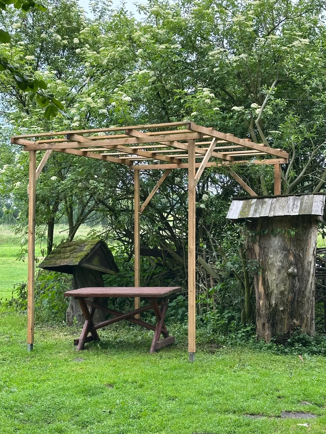 波兰之树屋是真的树 ，自己长成了个“客厅”！