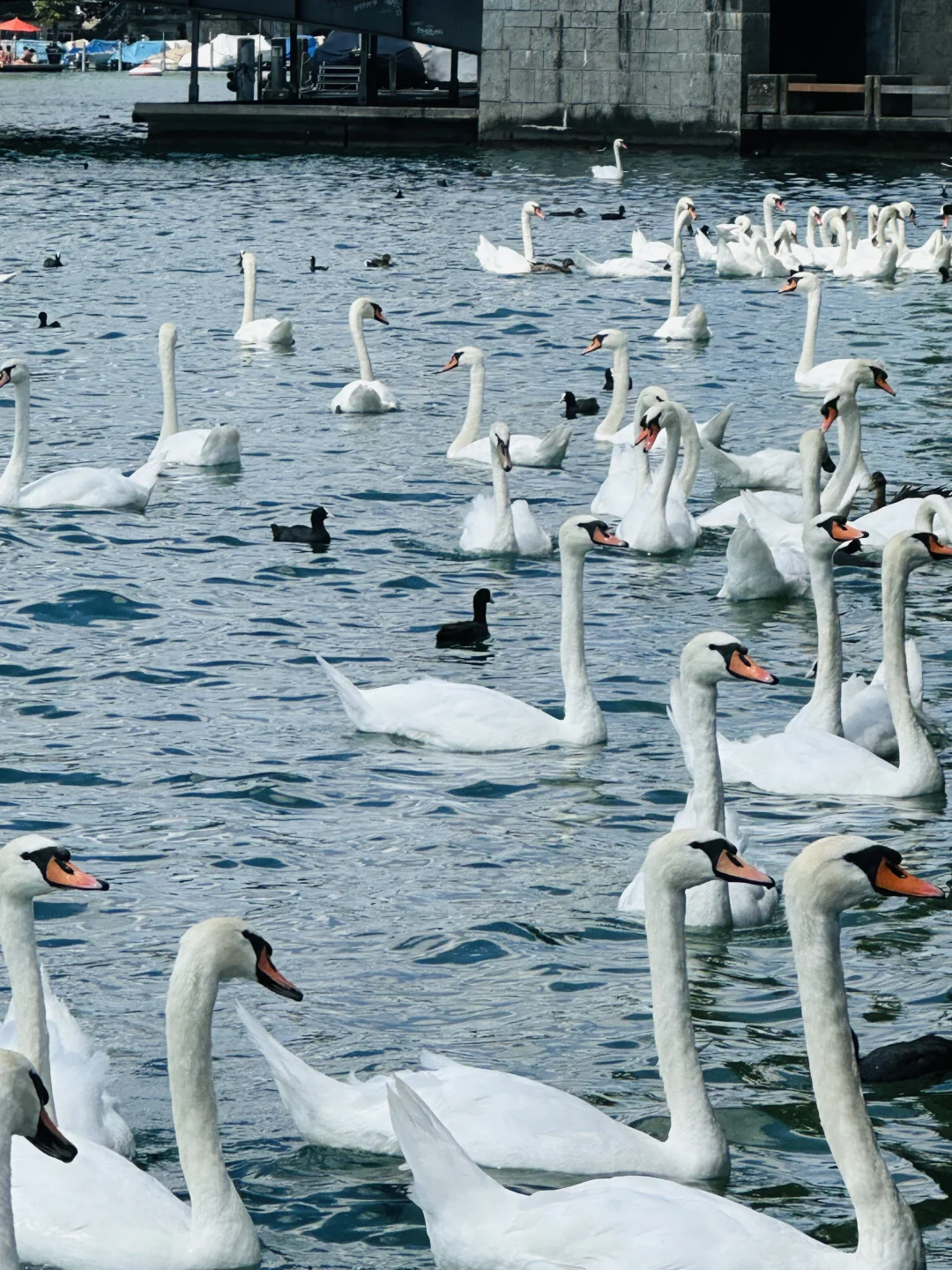 绝美的瑞士小镇🇨🇭