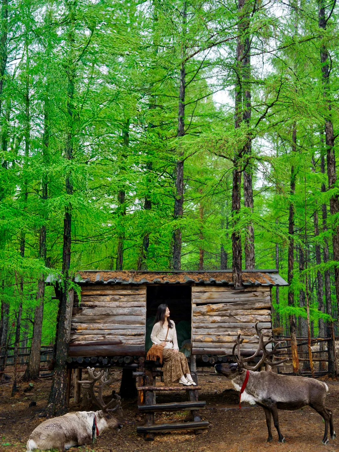 玩明白了!呼伦贝尔6天5晚超全攻略!不踩雷❗️