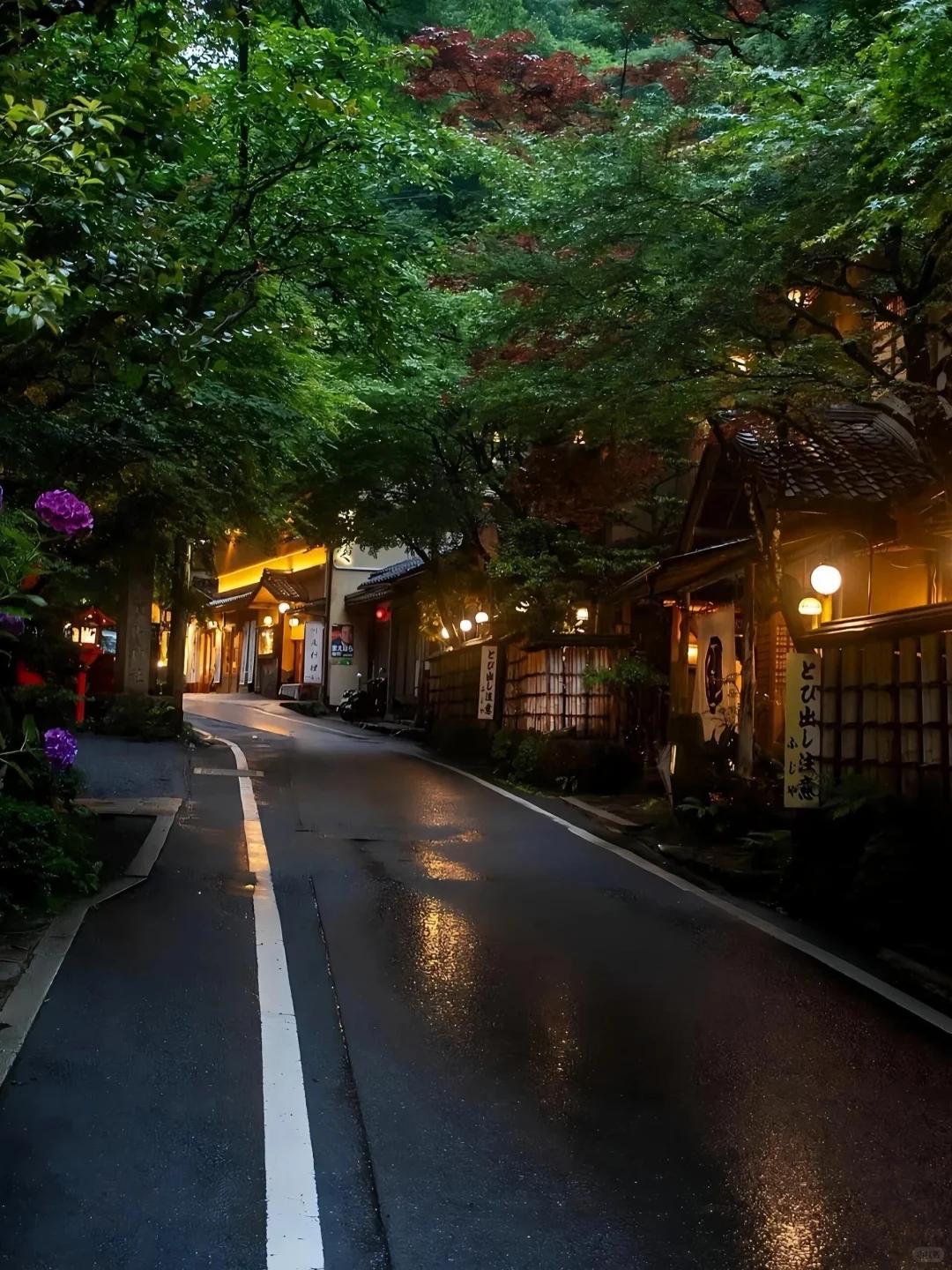 在日本玩了9天，我的消费观真的崩塌了😭