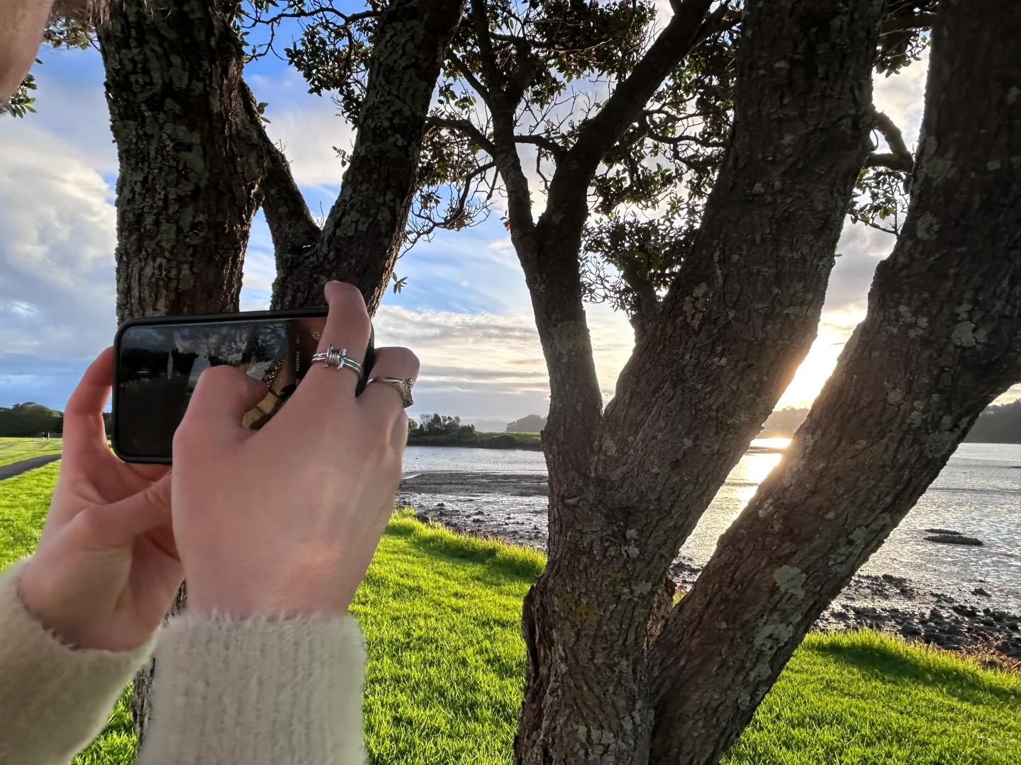 为什么我这么喜欢新西兰