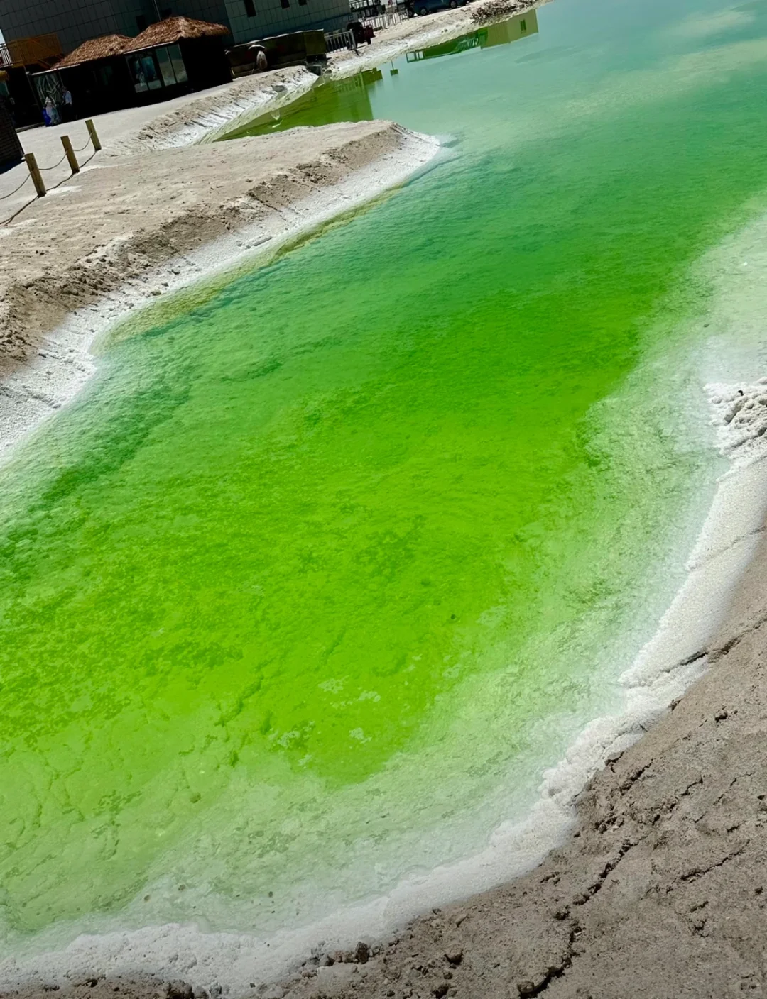 端午青海3天2夜旅游攻略|一场极致的浪漫