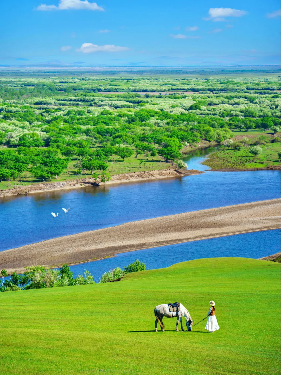 玩明白了!呼伦贝尔6天5晚超全攻略!不踩雷❗️
