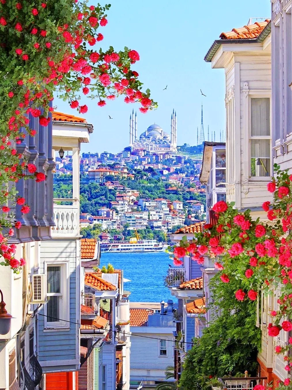 终于来到世界首都伊斯坦布尔｜附3天2晚攻略