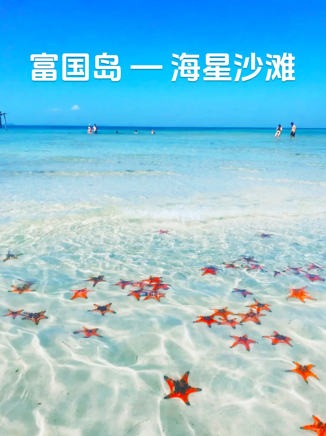 越南必去的四个地方，不去后悔一辈子❗