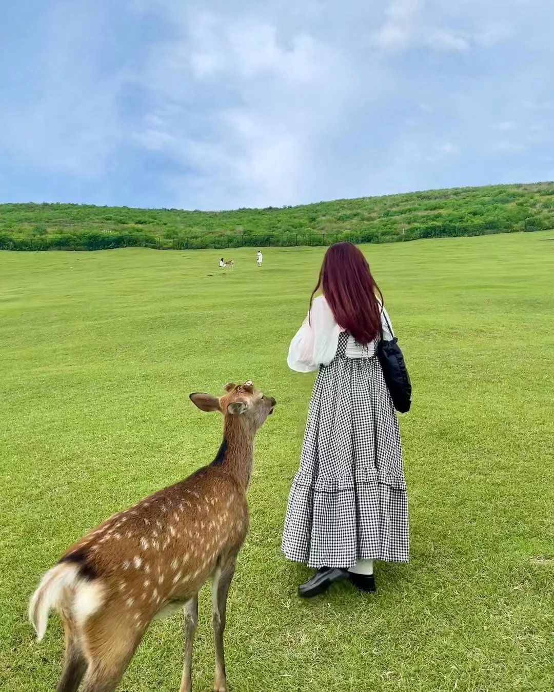 日本旅游已回，血泪教训！！！