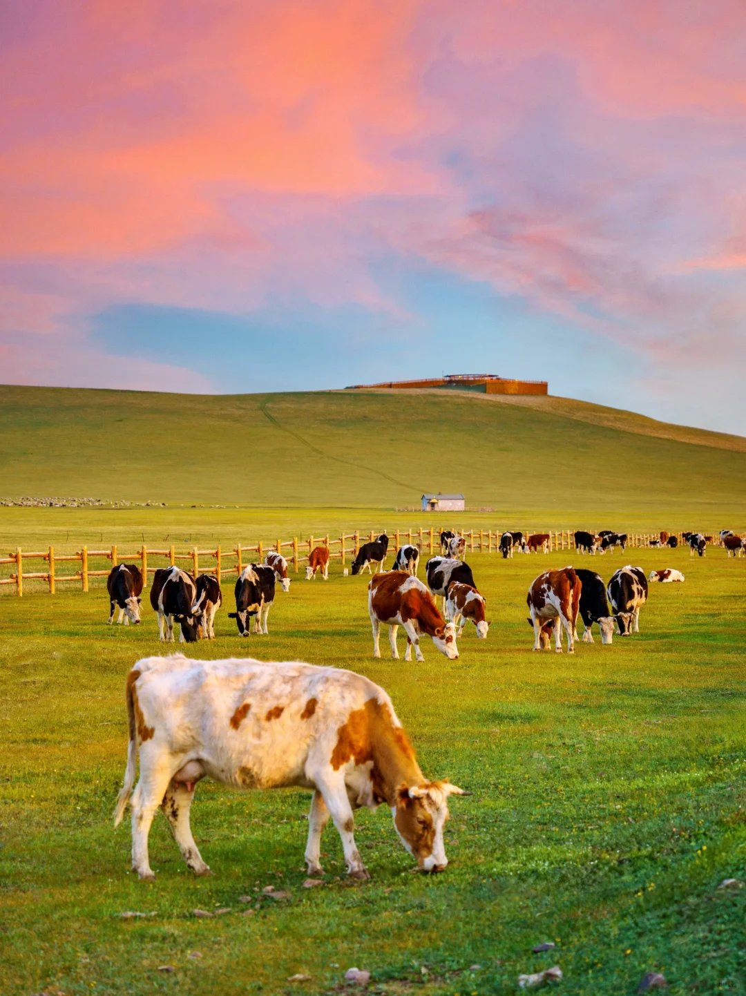 玩明白了!呼伦贝尔6天5晚超全攻略!不踩雷❗️