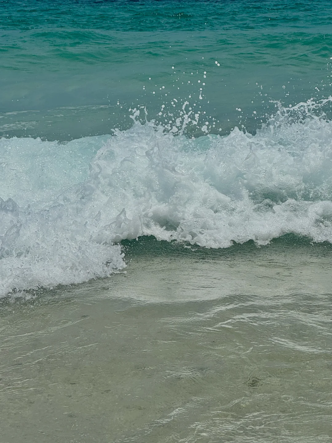 救命!被问800遍的富国岛攻略藏不住了!!