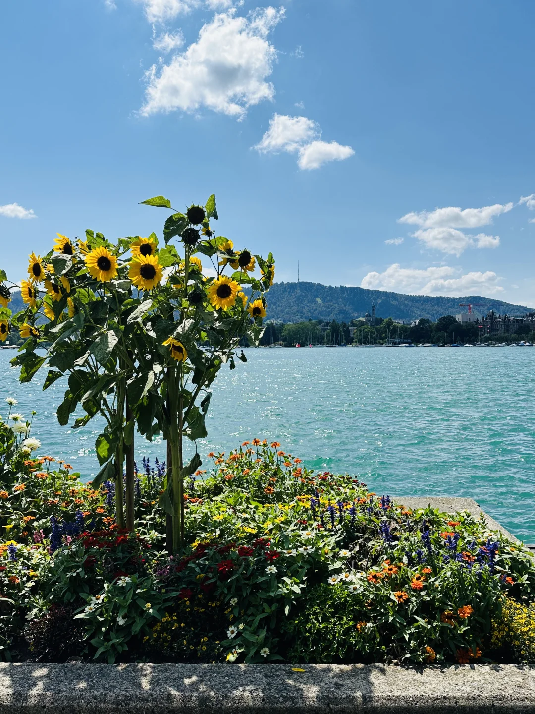 绝美的瑞士小镇🇨🇭