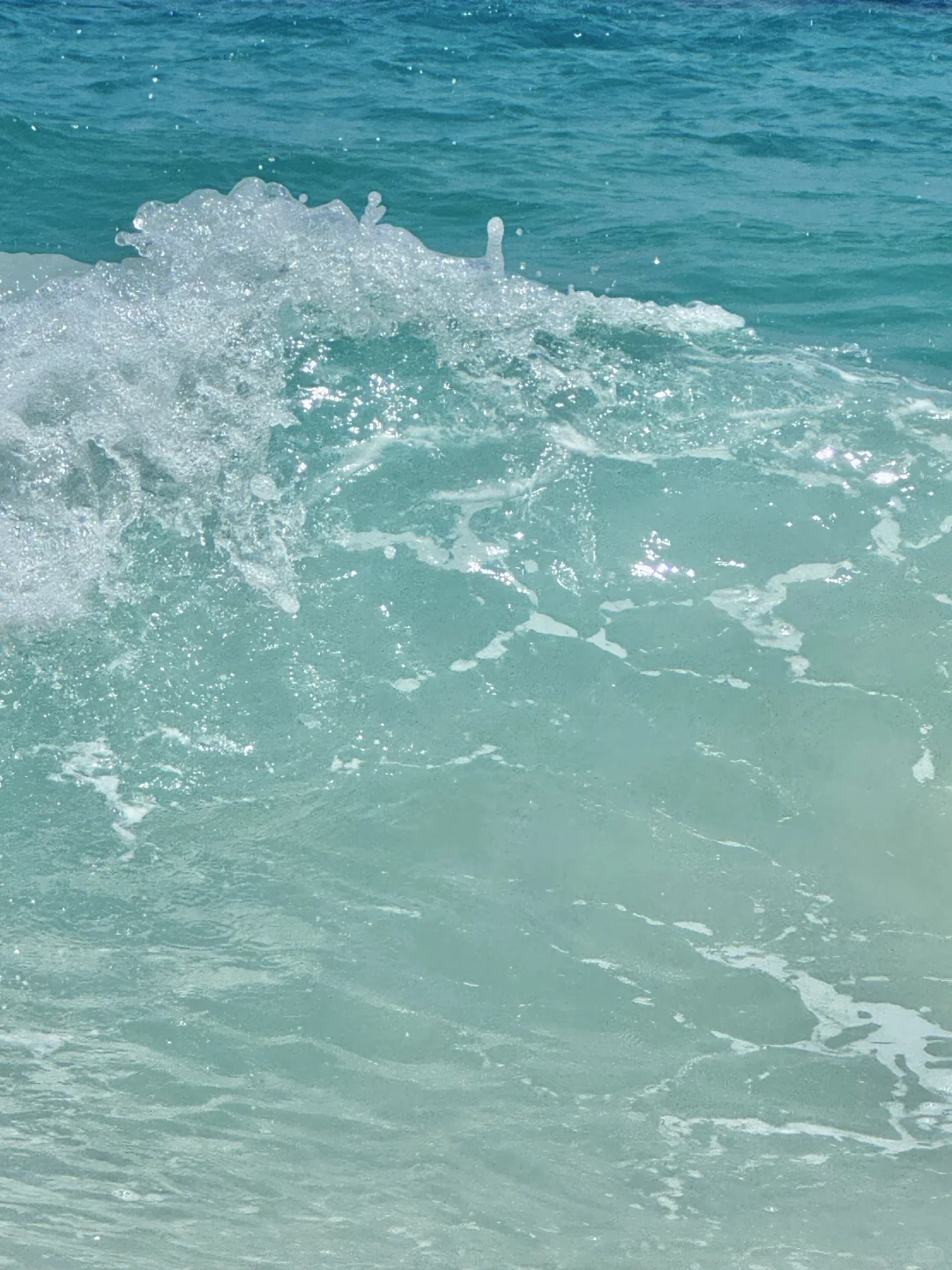 救命!被问800遍的富国岛攻略藏不住了!!