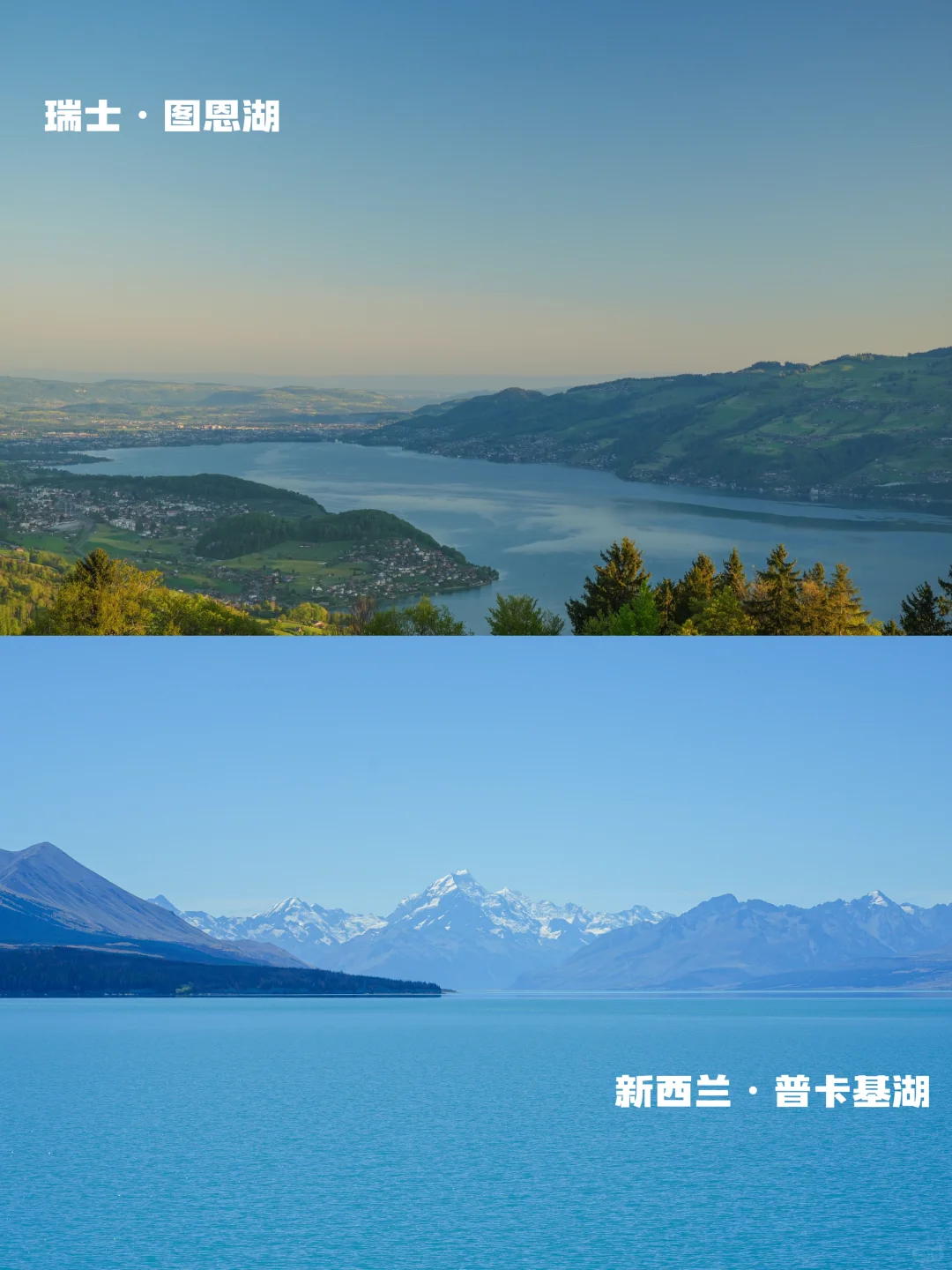 瑞士🆚新西兰实拍对比‼️吃喝玩乐优缺点速看