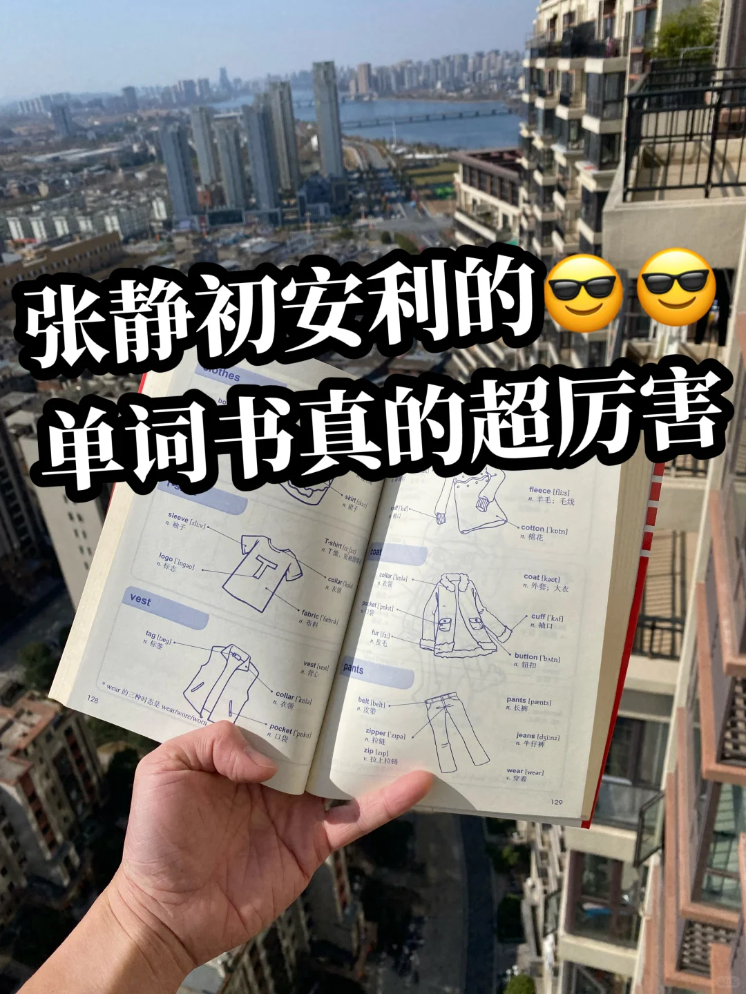 一目了然的张静初安利单词书