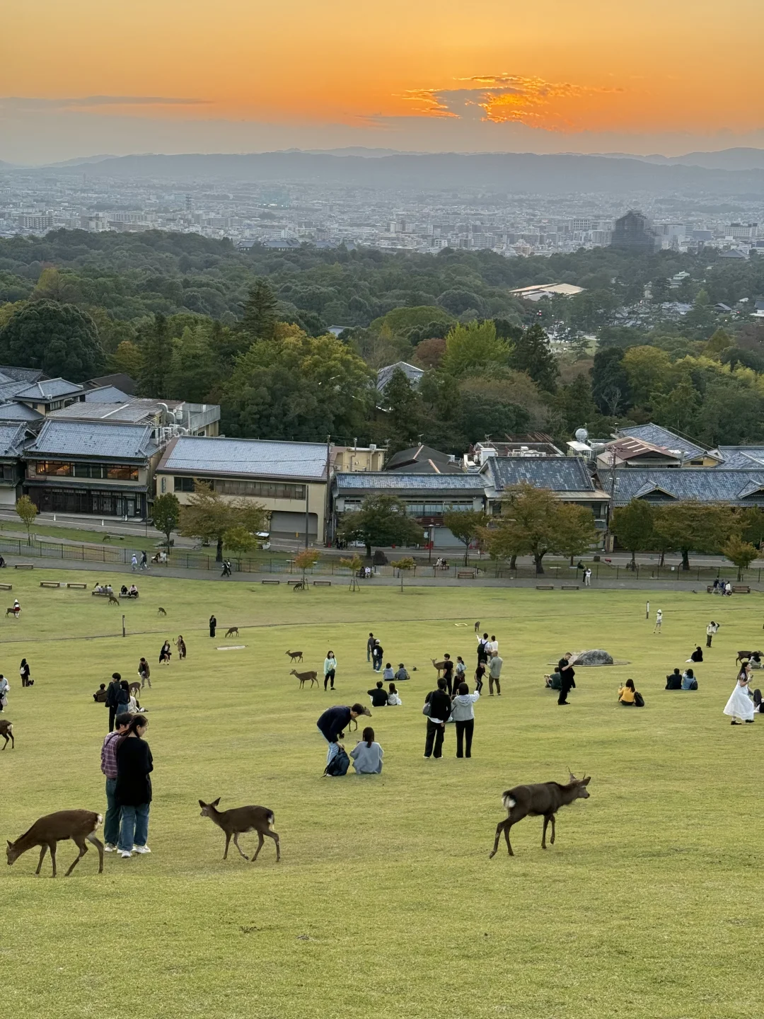 日本旅游看这篇就够了‼️（附购物攻略）
