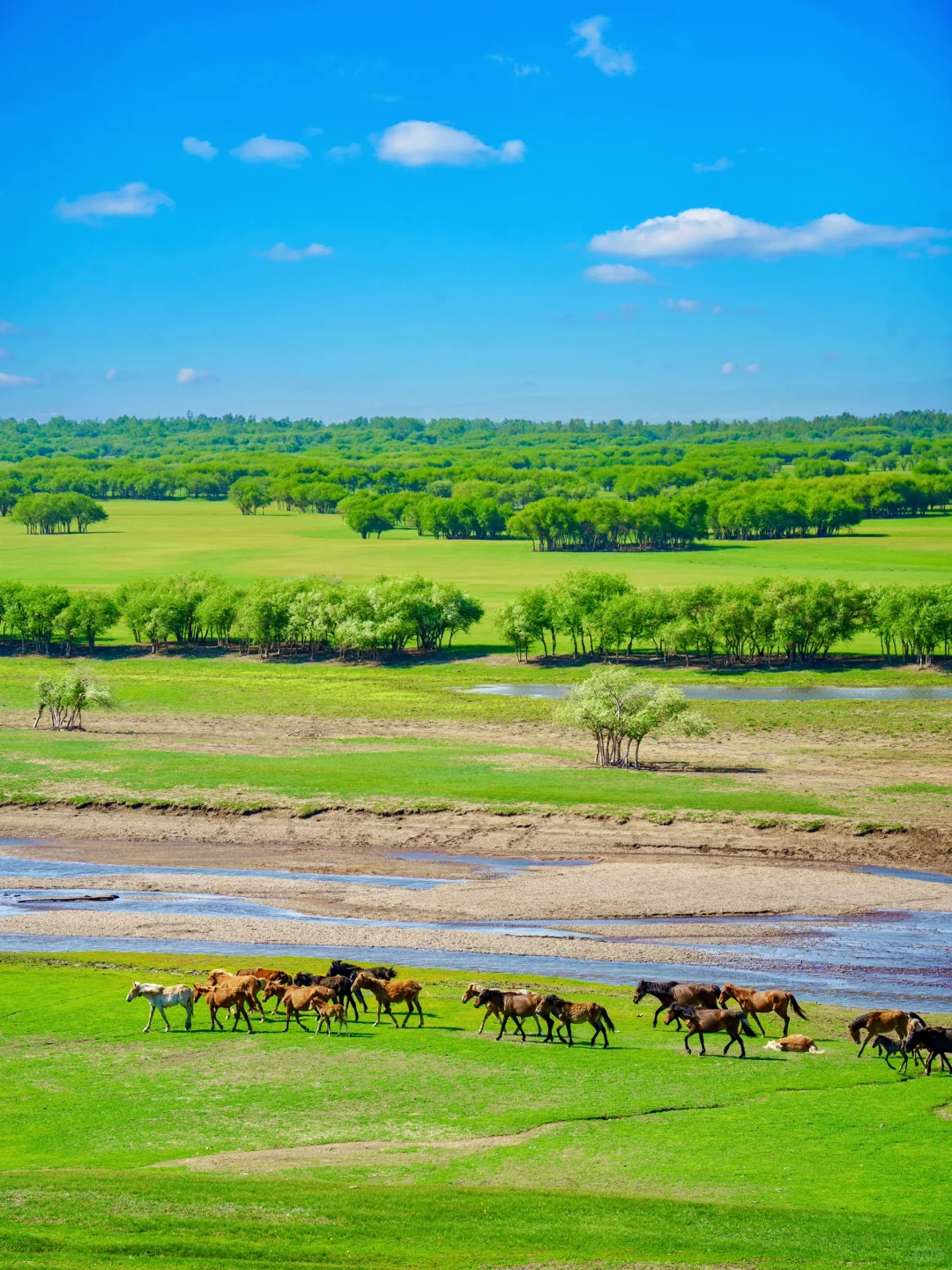 玩明白了!呼伦贝尔6天5晚超全攻略!不踩雷❗️