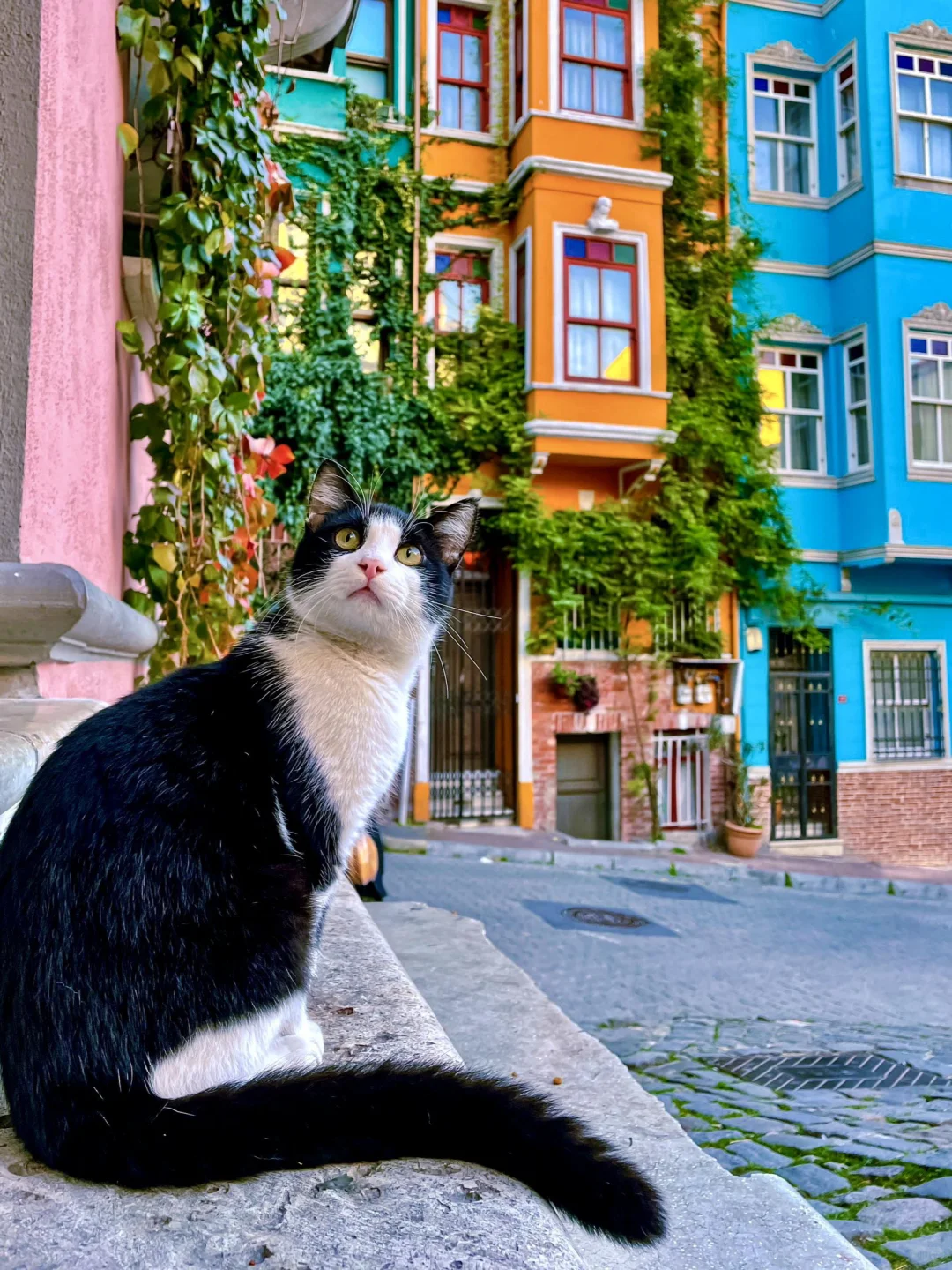 终于来到世界首都伊斯坦布尔｜附3天2晚攻略