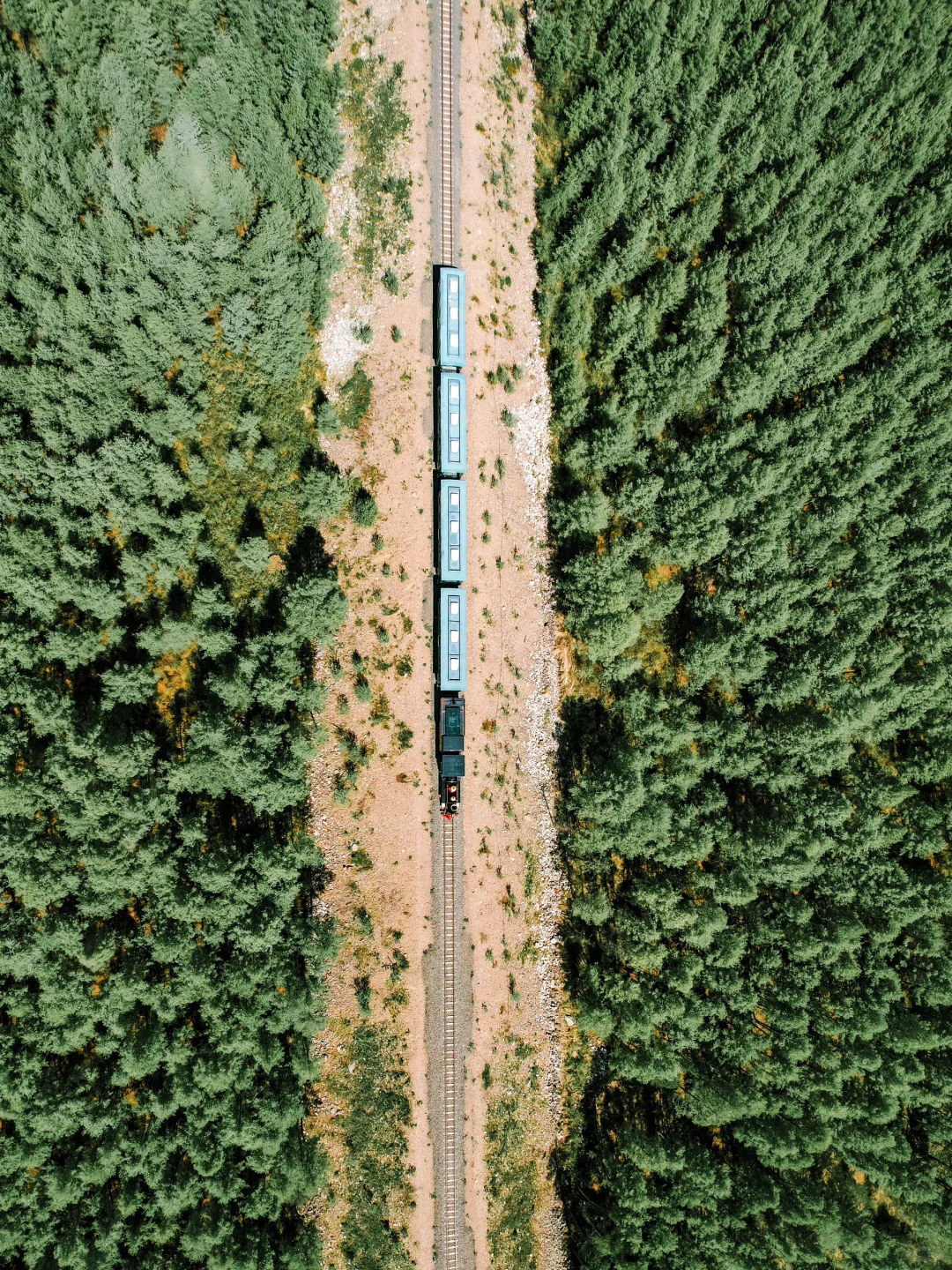夏天的呼伦贝尔太适合遛娃了！六天五夜攻略