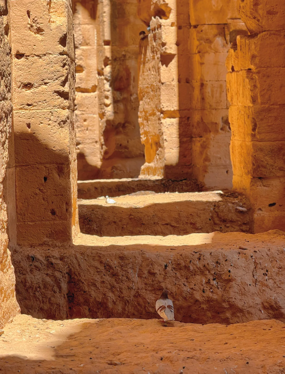 迄今为止，我最推荐的免签小众国家人均1.5K