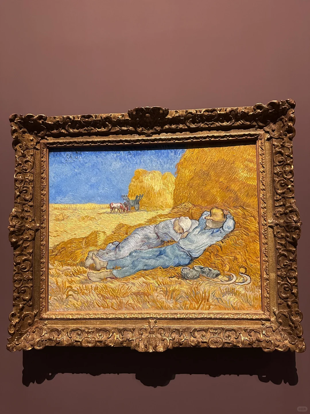 🇦🇪阿联酋两天足够