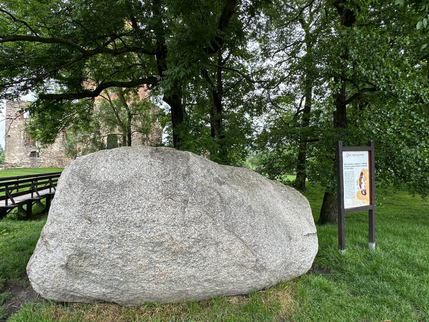 波兰之树屋是真的树 ，自己长成了个“客厅”！