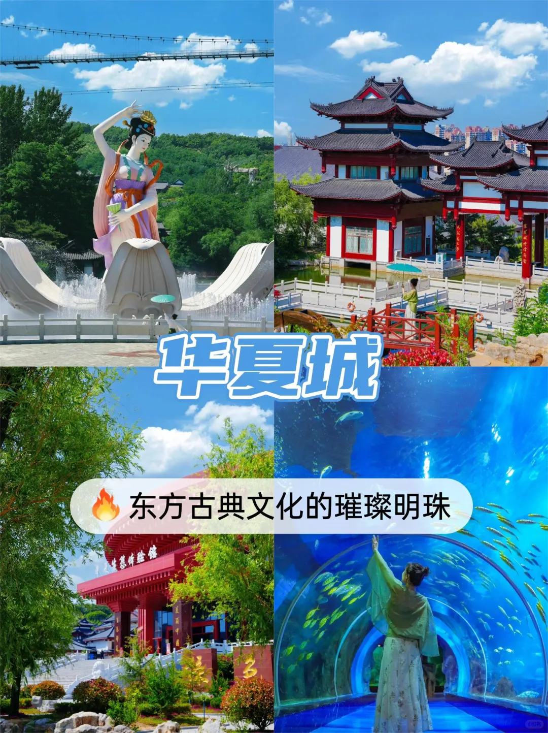 🌿青岛纯玩4日游💰人均1000+全搞定