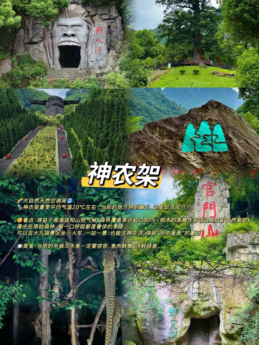 6-7月反向旅游5个避暑胜地推荐✅