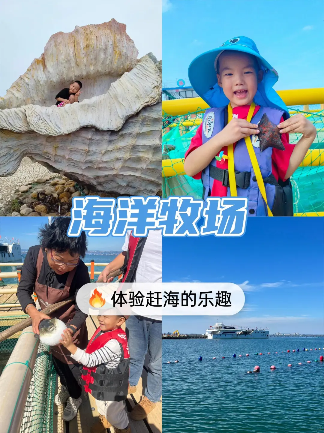 🌿青岛纯玩4日游💰人均1000+全搞定