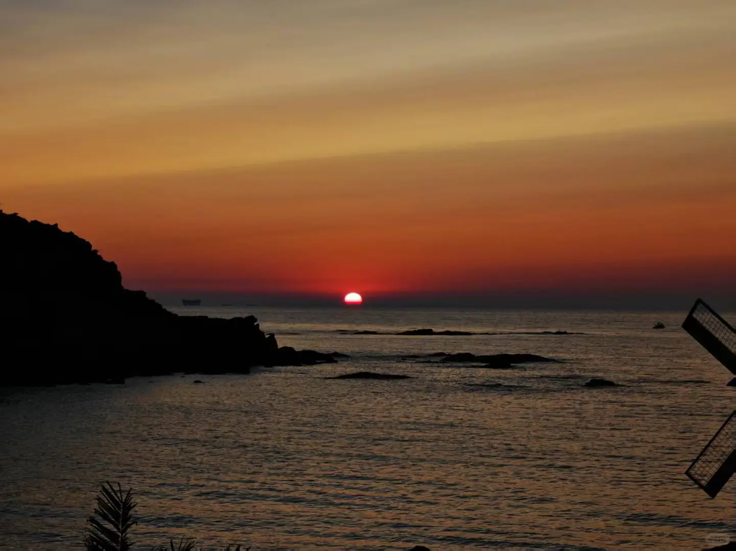 外地人来威海旅游，果然🍠不推荐的贼好吃！
