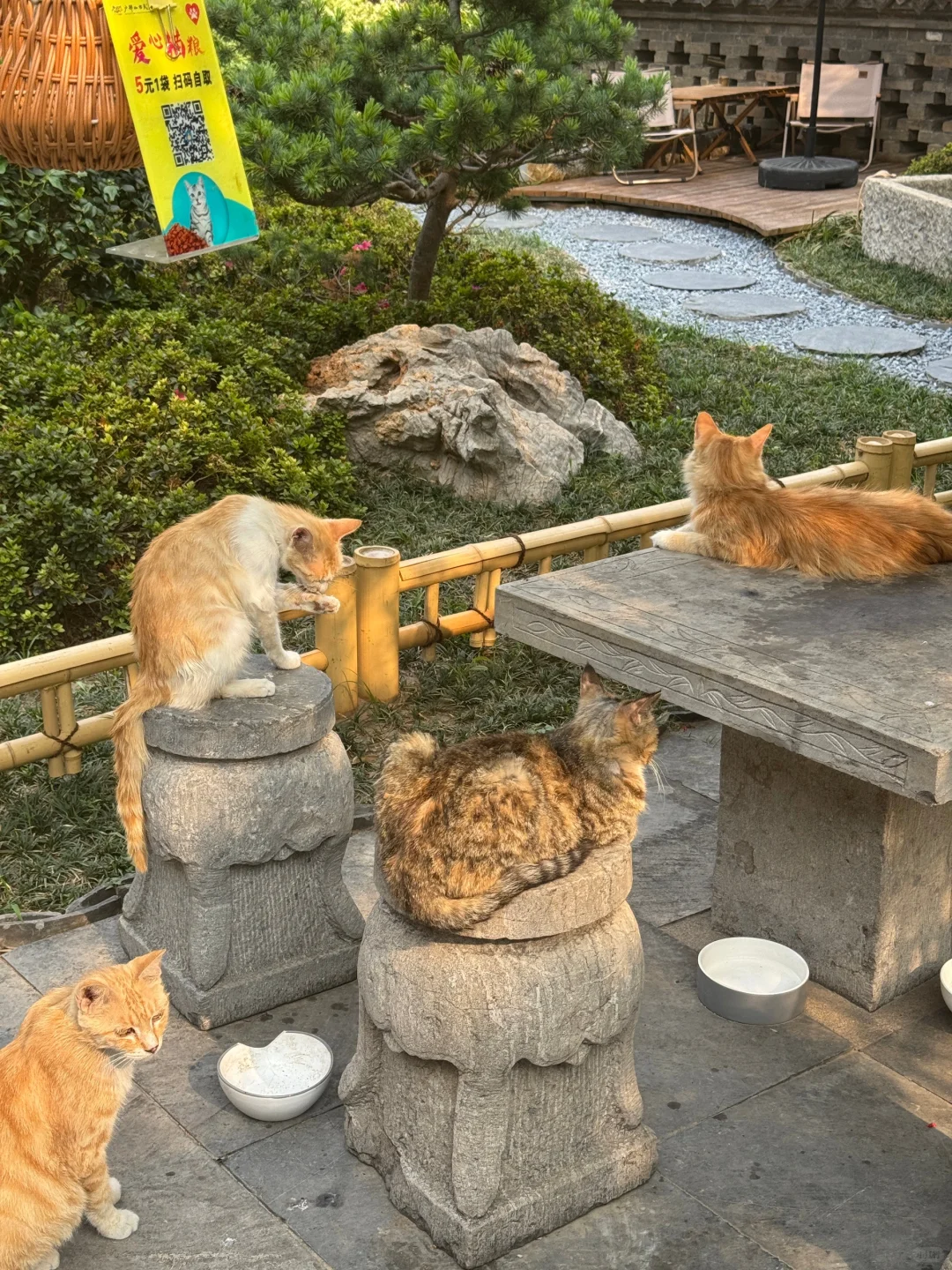 6-8月徐州最新避暑旅游攻略❗不踩雷人均500