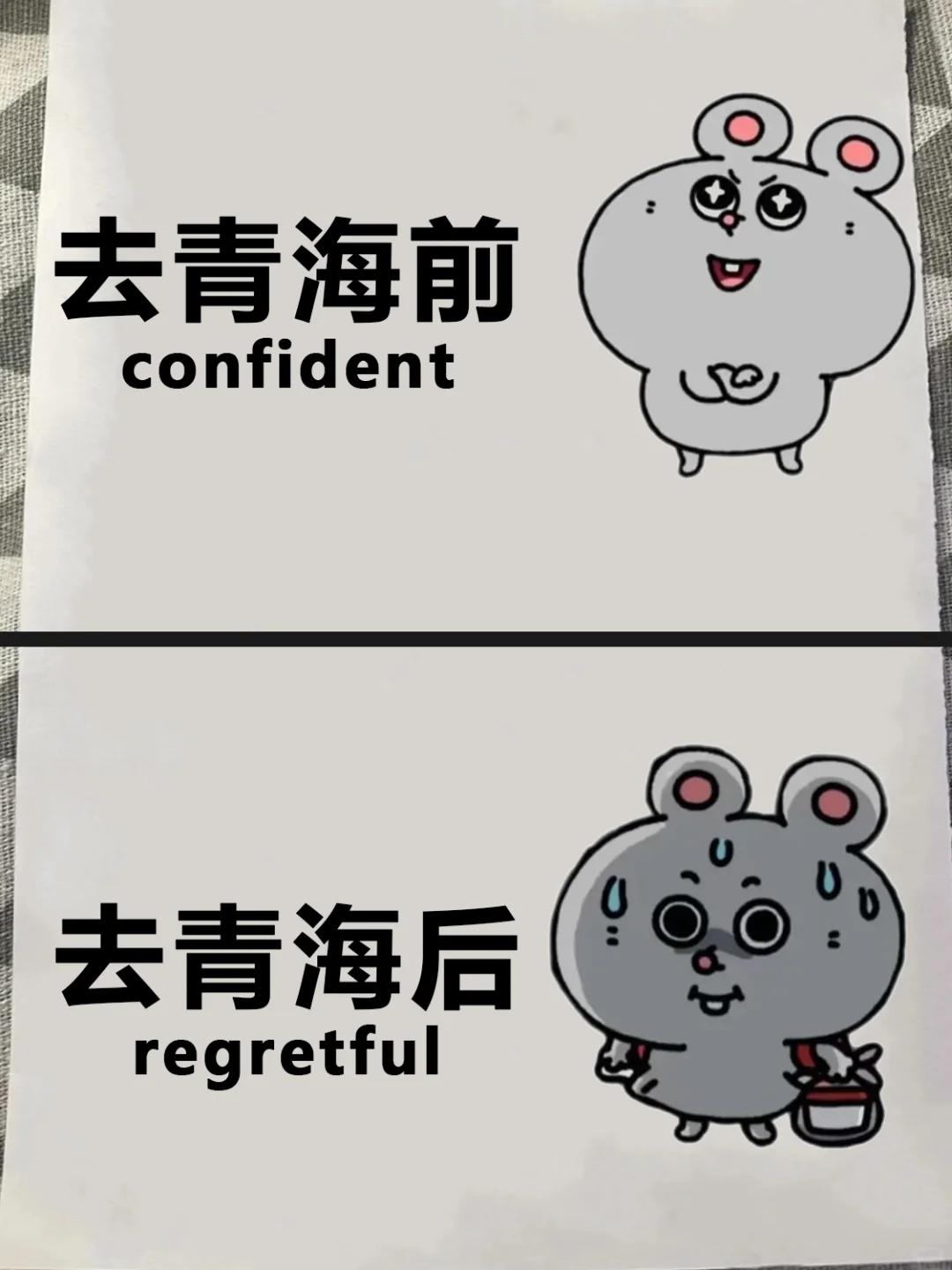 去青海前vs去青海后‼️只讲大实话