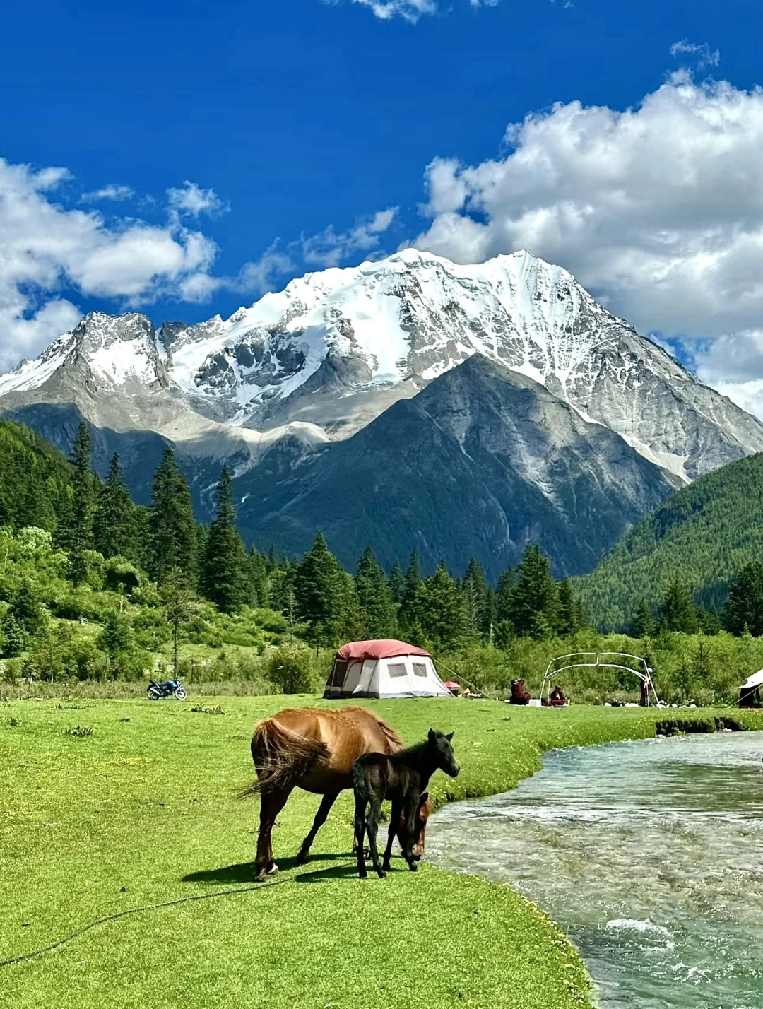 6.12📍川西已回，live现状直出，劝退不了…