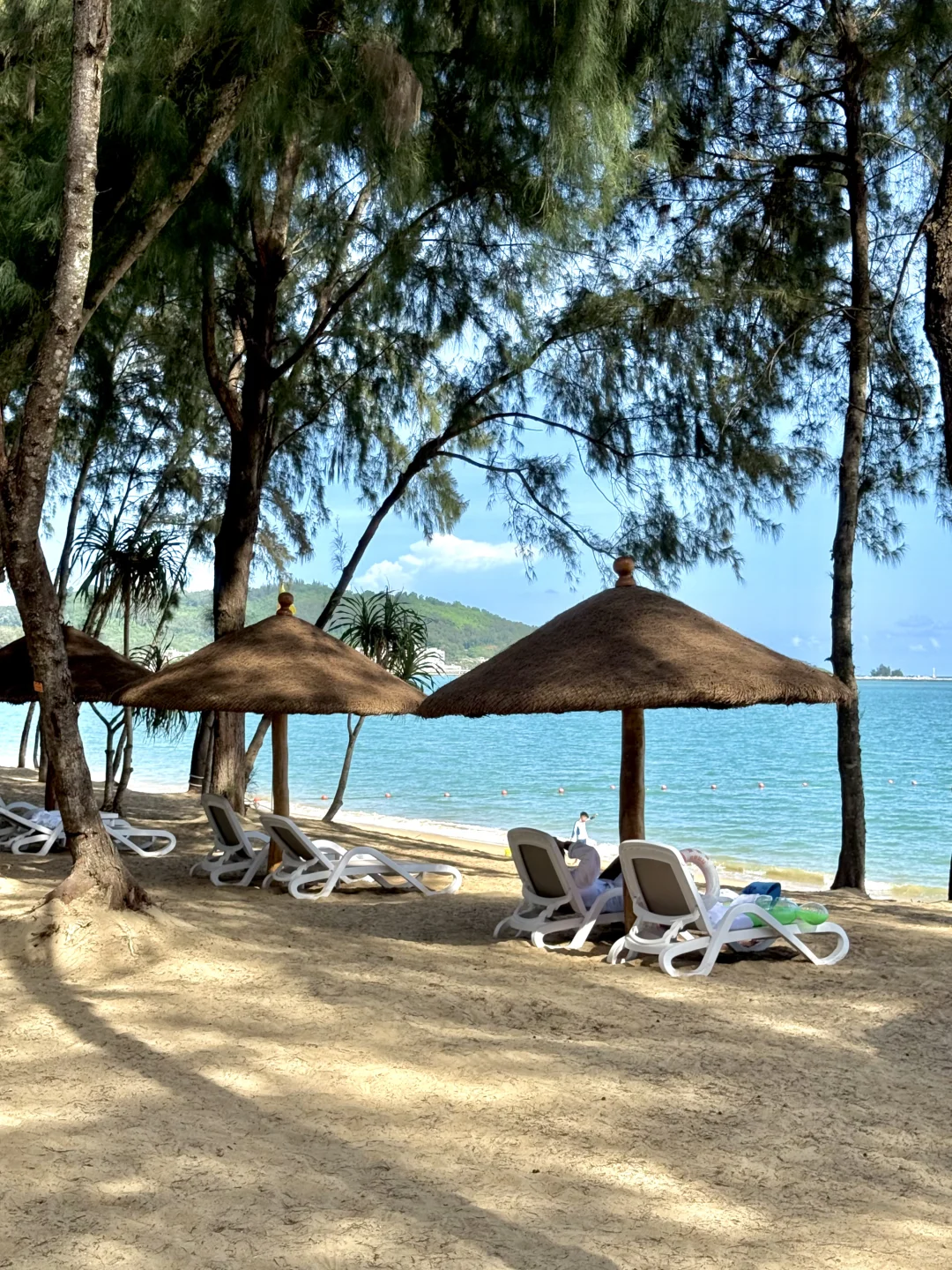 Live实况，离开海南的后劲比失恋还大😭😭……