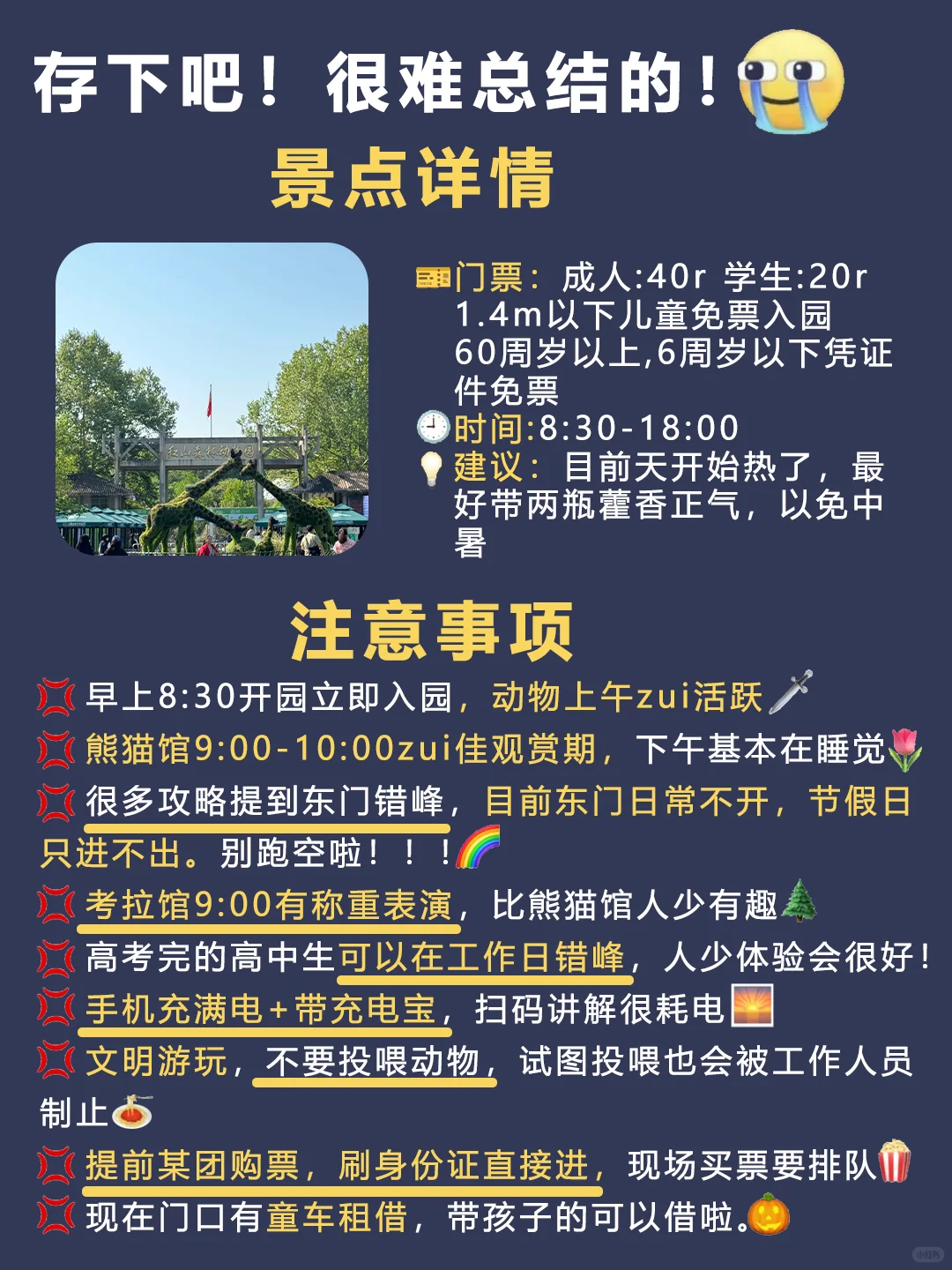 6-8月去南京红山动物园旅游🔥一定要听劝!!