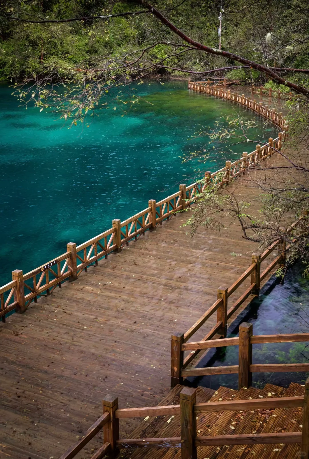 6-7月反向旅游5个避暑胜地推荐✅