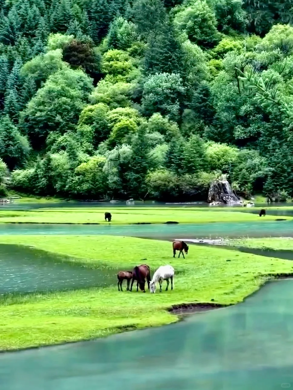 6.12📍川西已回，live现状直出，劝退不了…