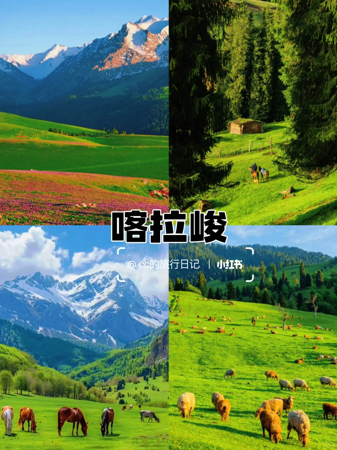 适合一家人低消费慢节奏出游的四个小众城市