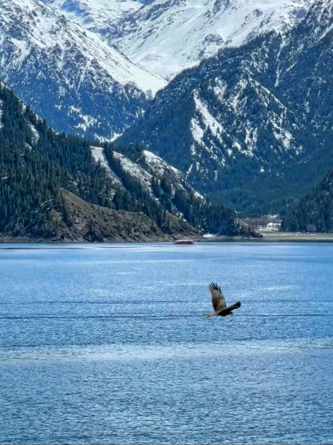 端午节好想去长白山避暑呀🏔️