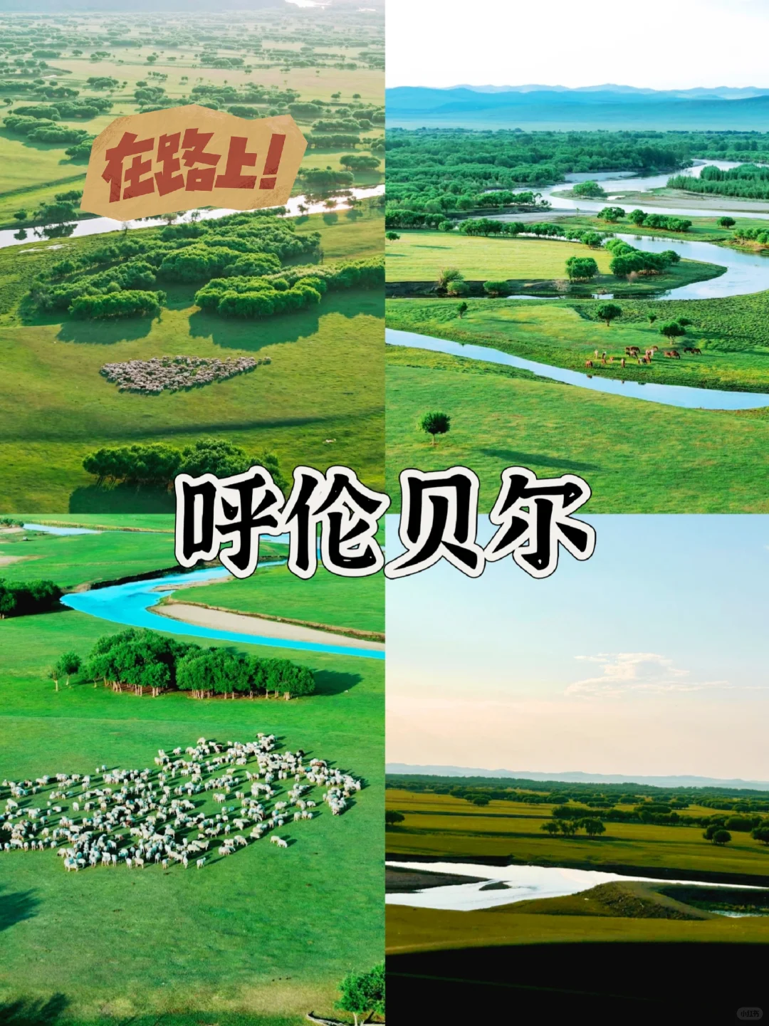 🌿 6-8月避暑天花板!4个自带空调的神仙