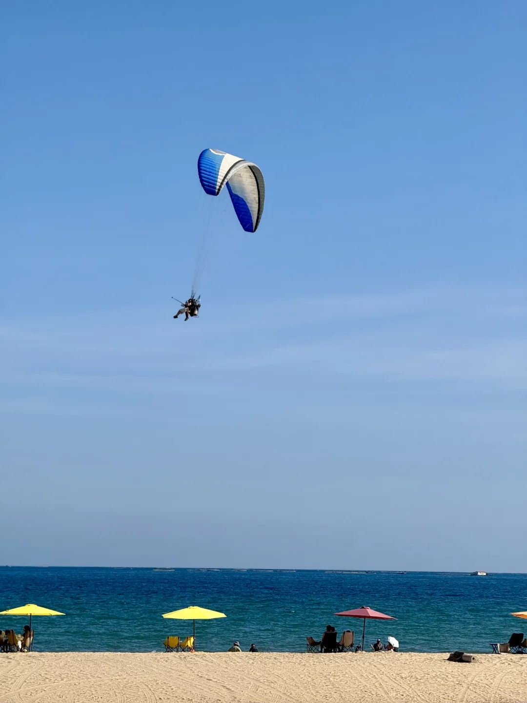Live实况，离开海南的后劲比失恋还大😭😭……