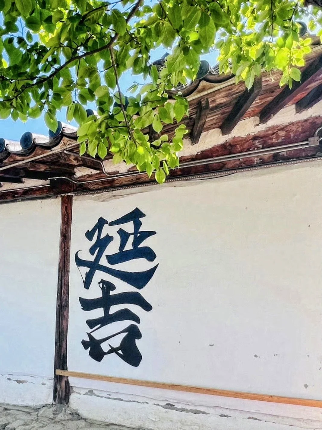 端午节好想去长白山避暑呀🏔️