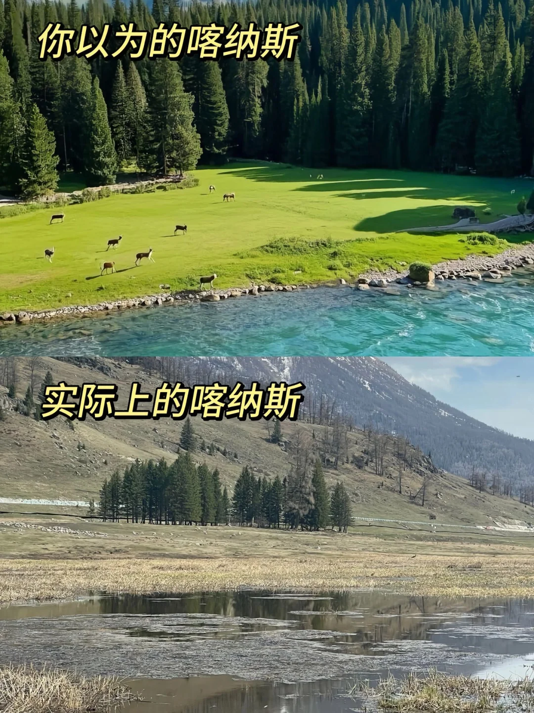 新疆会惩罚每一个不提前做攻略的人！