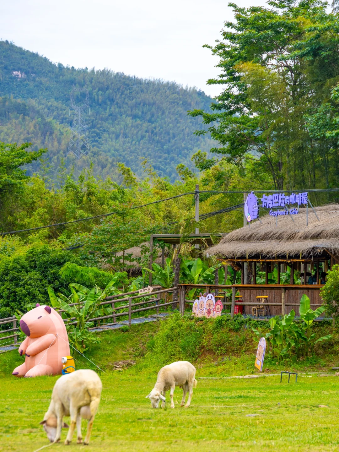 比起迪士尼，我更爱这个江浙沪小众乐园‼️