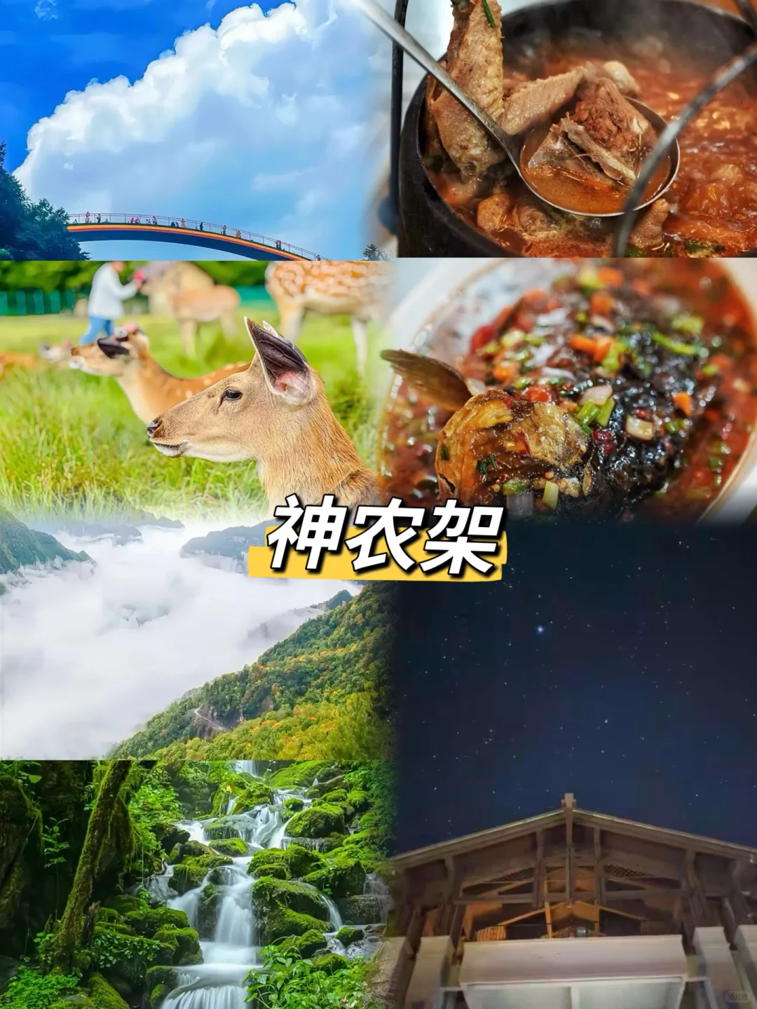 6-7月反向旅游5个避暑胜地推荐✅