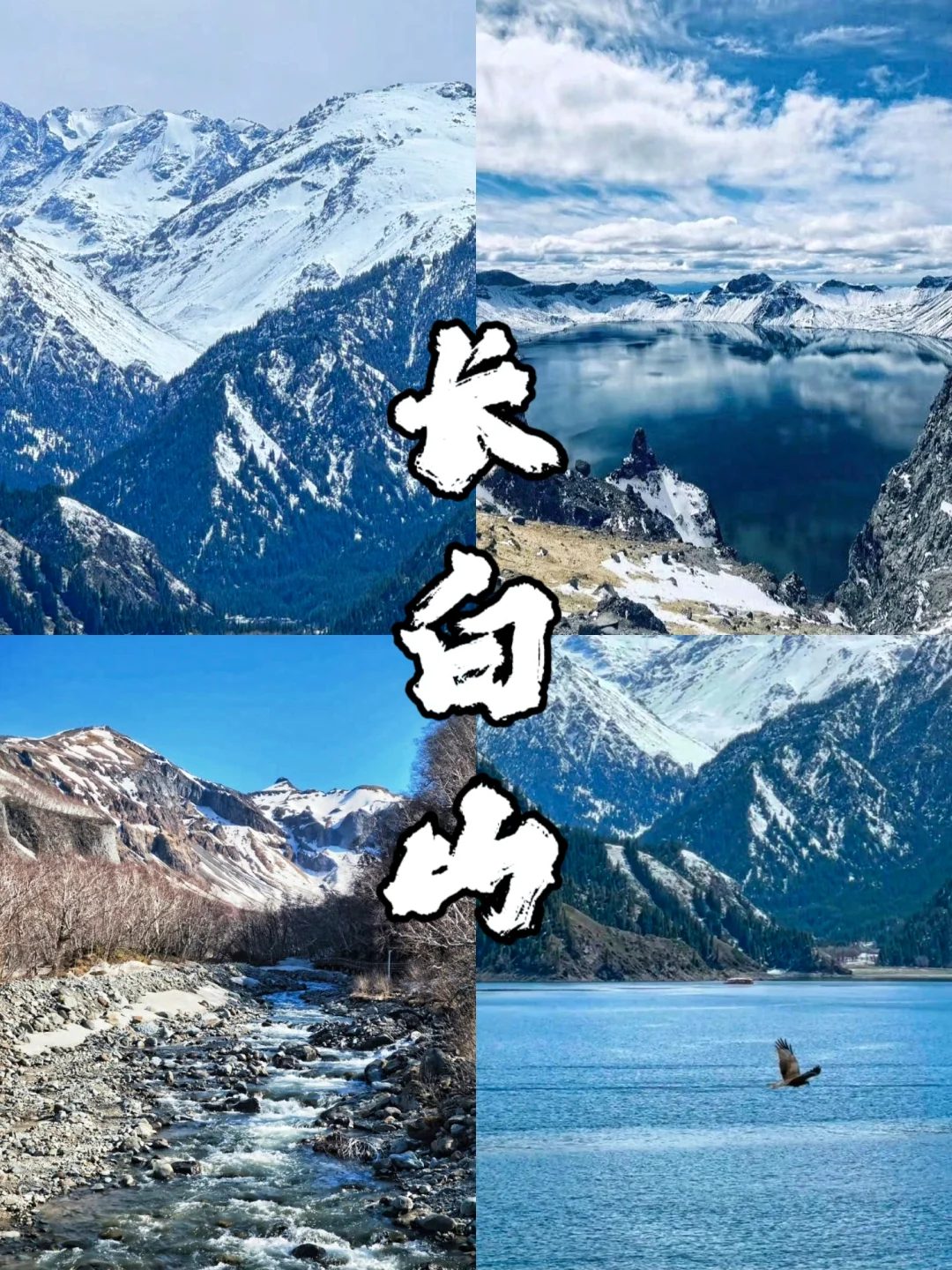 端午节好想去长白山避暑呀🏔️