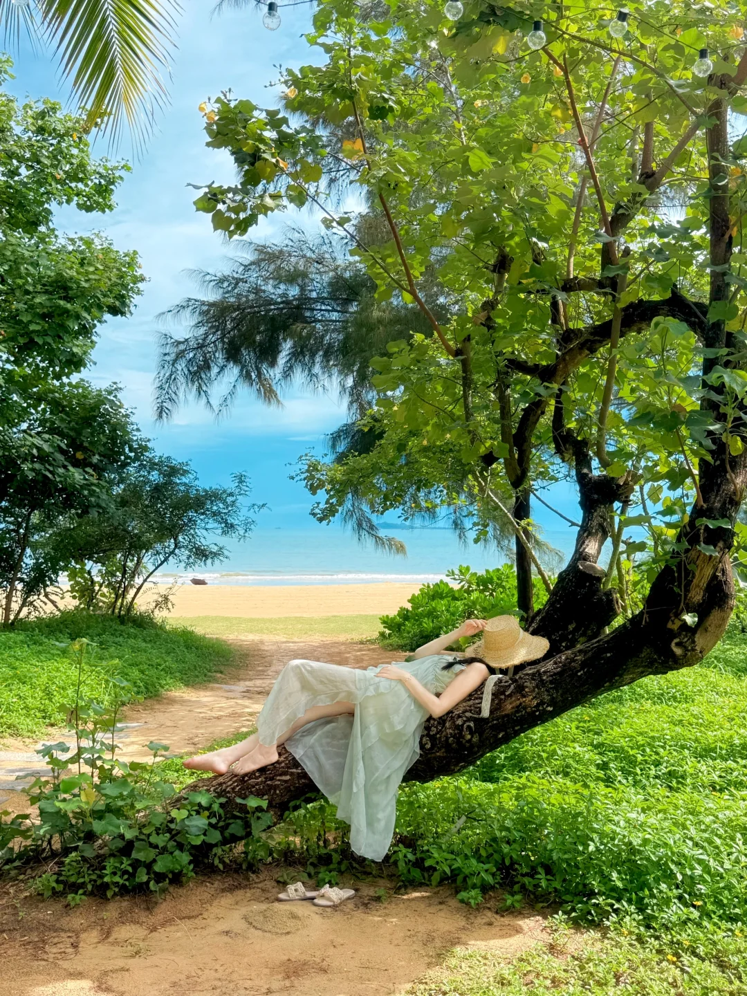 Live实况，离开海南的后劲比失恋还大😭😭……