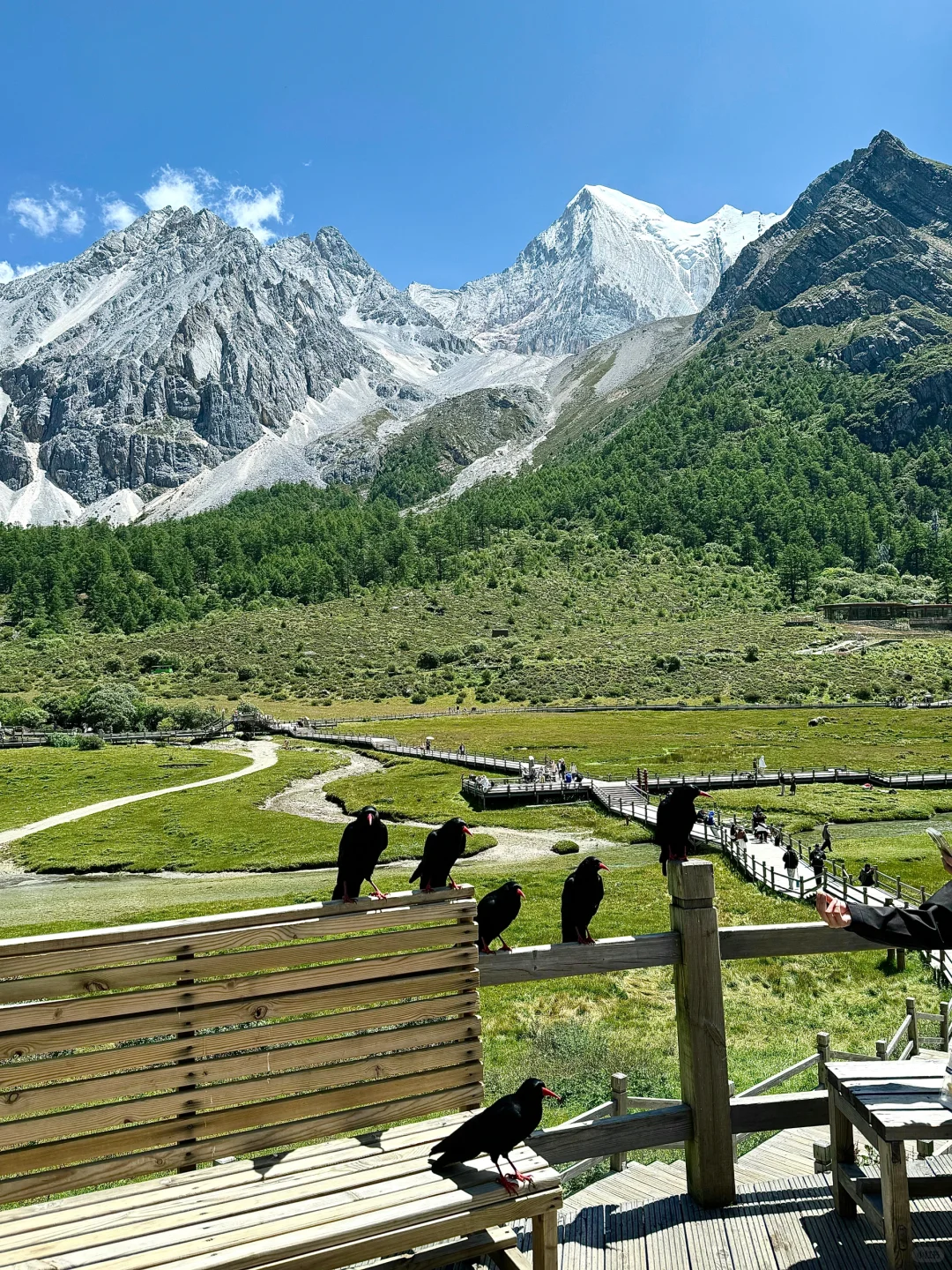 6.12📍川西已回，live现状直出，劝退不了…