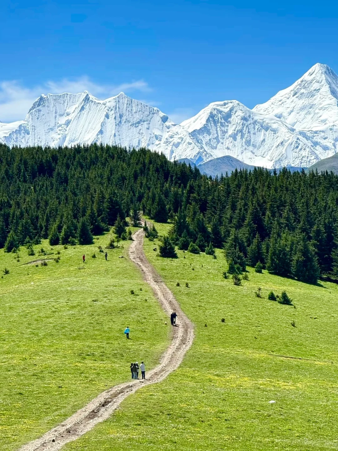 6.12📍川西已回，live现状直出，劝退不了…