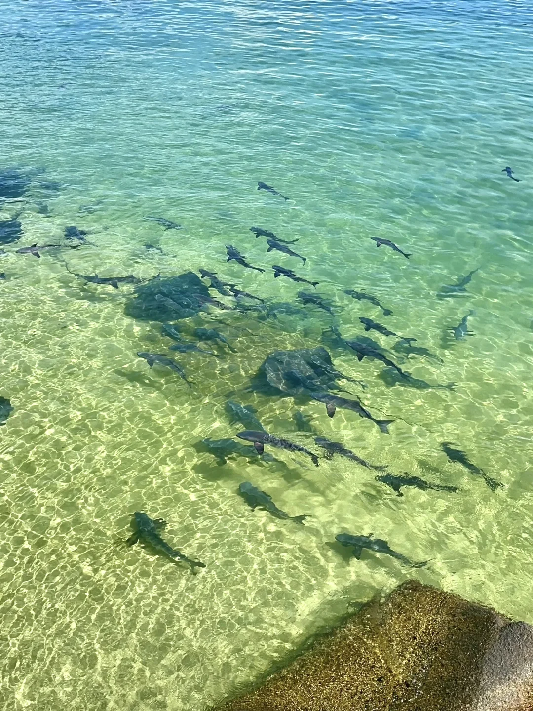 Live实况，离开海南的后劲比失恋还大😭😭……